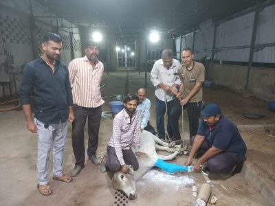 WhatsApp-Image-2023-12-27-at-16.19.35-1