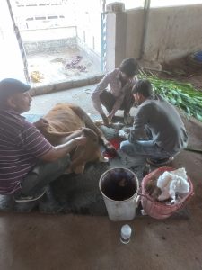 WhatsApp-Image-2023-12-27-at-16.19.35-2