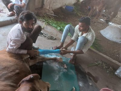 WhatsApp-Image-2023-12-27-at-16.19.35