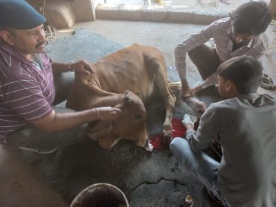 WhatsApp-Image-2023-12-27-at-16.19.36-1