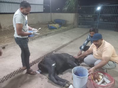 WhatsApp-Image-2023-12-27-at-16.19.36-2